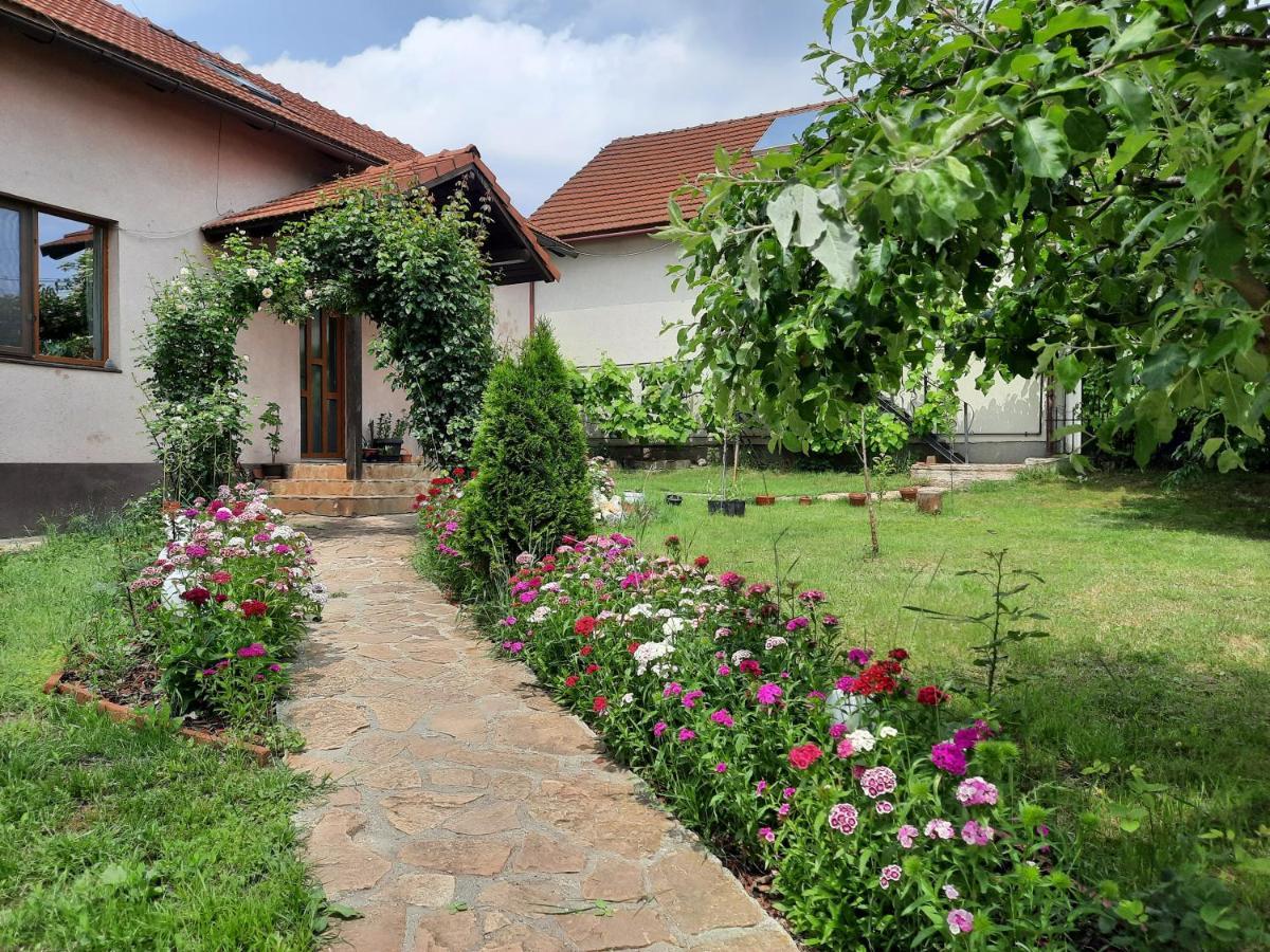 Vintage And Cozy Room, Free Parking, Shared House In The Small Quiet Village Alba Iulia Exterior photo