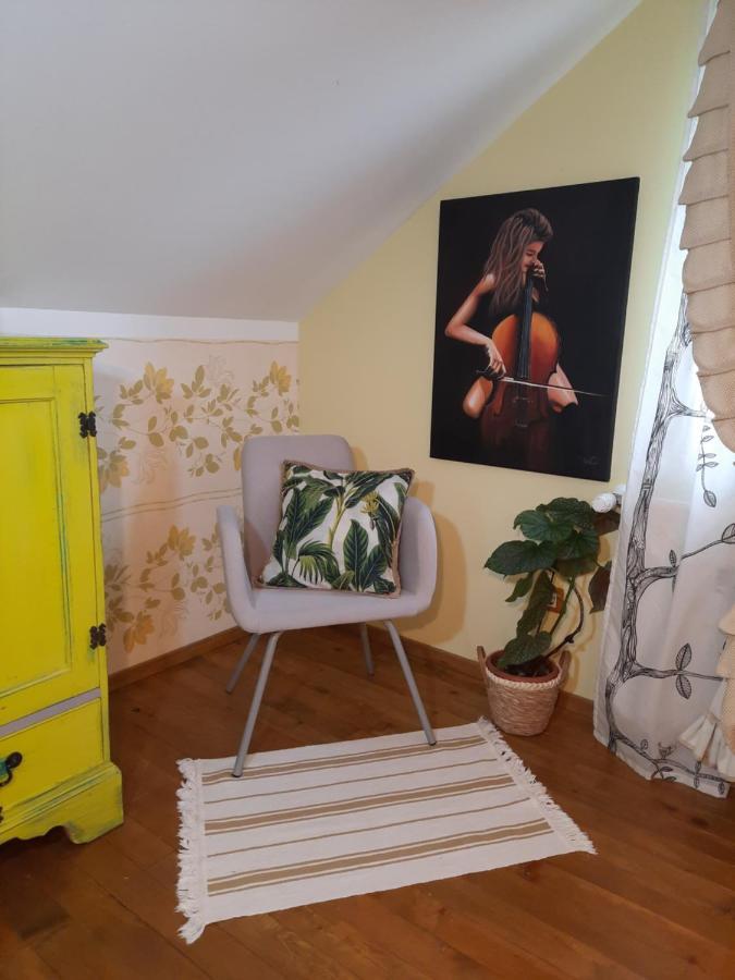 Vintage And Cozy Room, Free Parking, Shared House In The Small Quiet Village Alba Iulia Exterior photo