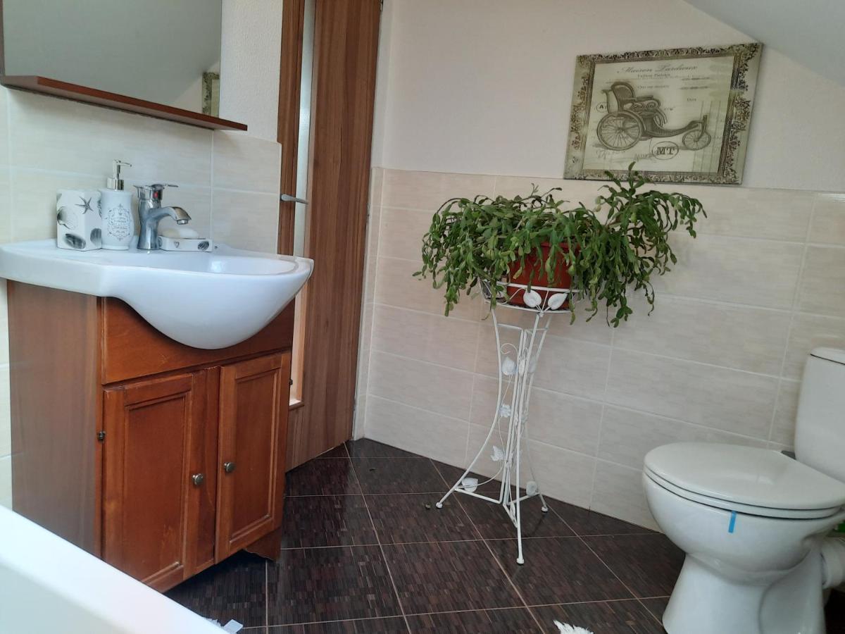 Vintage And Cozy Room, Free Parking, Shared House In The Small Quiet Village Alba Iulia Exterior photo